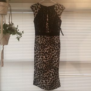 New‼️ New York & company cheetah print dress